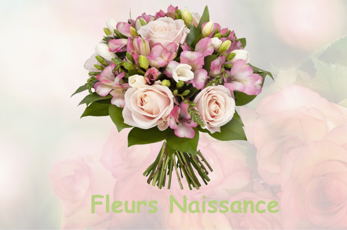 fleurs naissance SANSSAC-L-EGLISE